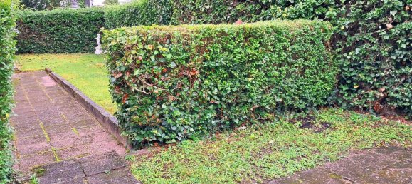 3 bedrooms Apartment in Sarreguemines, France No. 224360 7