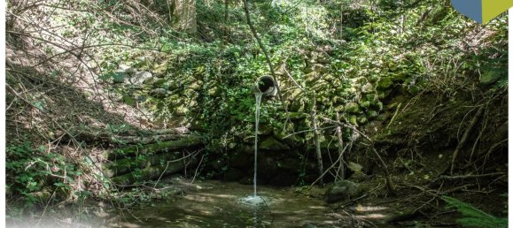  Land in Gramastetten, Austria No. 129867 6