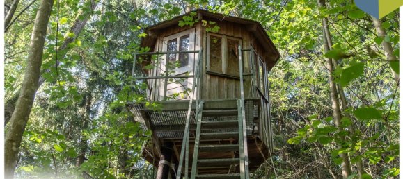  Land in Gramastetten, Austria No. 129867 9