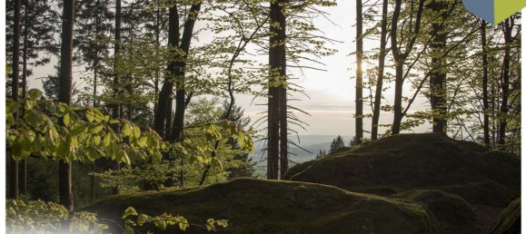  Land in Gramastetten, Austria No. 129867 16