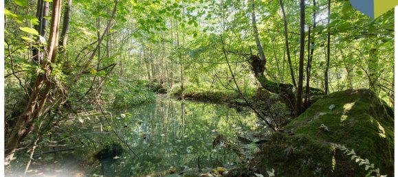  Land in Gramastetten, Austria No. 129867 8