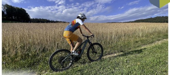  Land in Gramastetten, Austria No. 129867 15