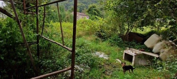 2 Schlafzimmer Haus in Dalem, France, Nr. 239008 2