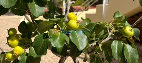 Casa T7 em Benidorm, Spain N.º 54680 38