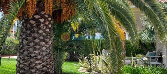 Casa T7 em Benidorm, Spain N.º 54680 46