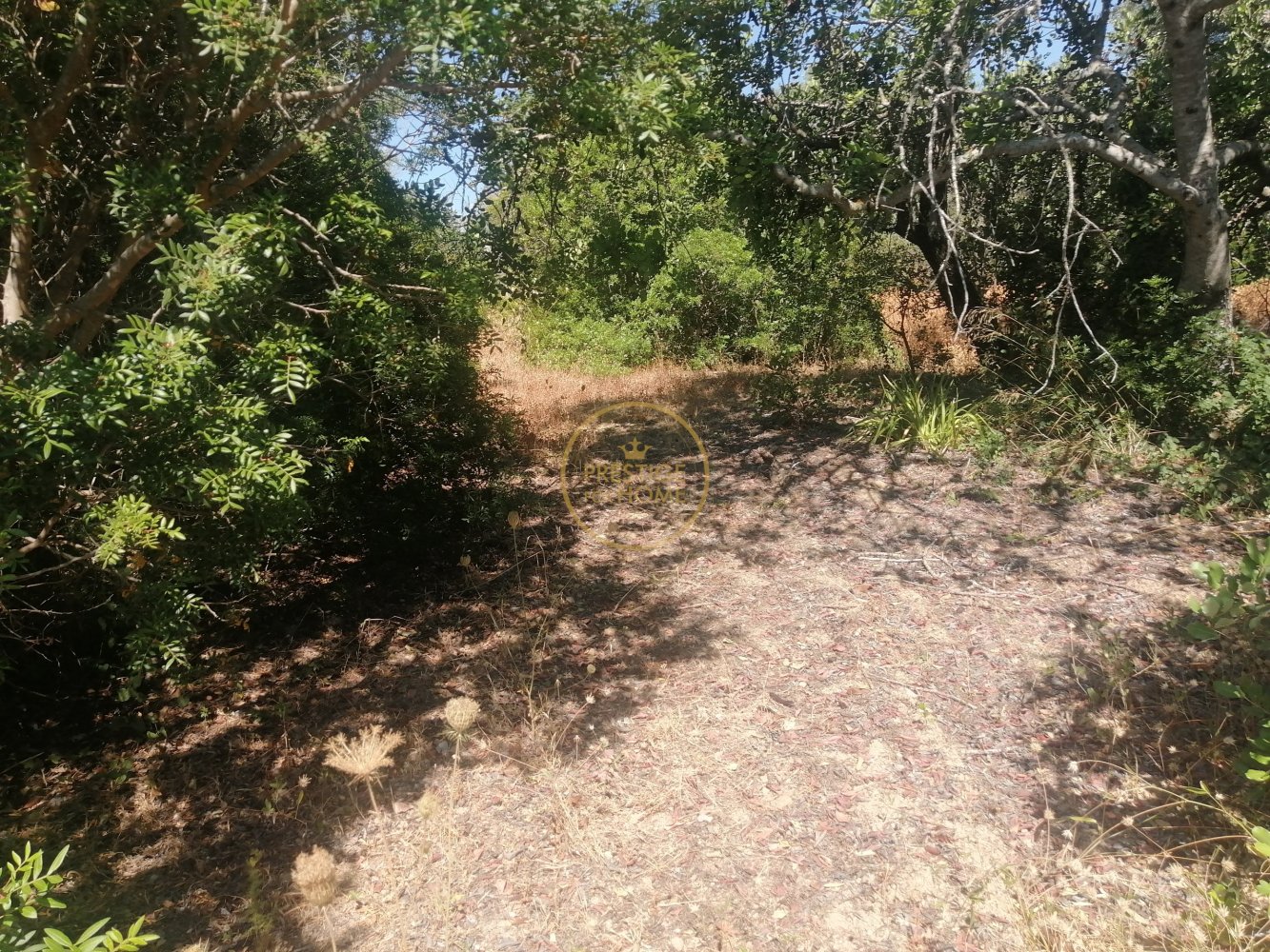 1390m² Land in Loule, Portugal No. 211497