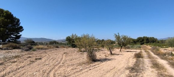 Grundstück in Monovar, Spain, Nr. 189109 7