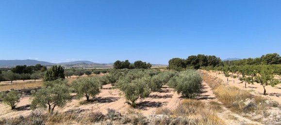 Grundstück in Monovar, Spain, Nr. 189109 6