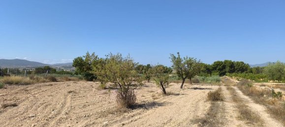 Grundstück in Monovar, Spain, Nr. 189109 8