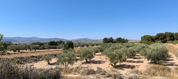 Grundstück in Monovar, Spain, Nr. 189109 5