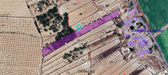 Grundstück in Monovar, Spain, Nr. 189109 3