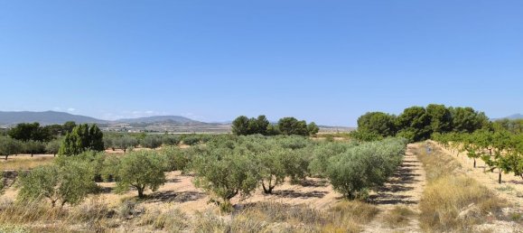 Grundstück in Monovar, Spain, Nr. 189109 2