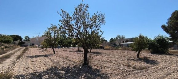 Grundstück in Monovar, Spain, Nr. 189109 4