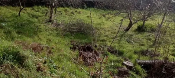 551m² Land in Macieira de Sarnes, Portugal No. 89266 2