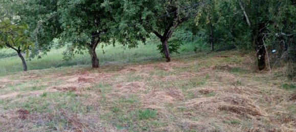 8 bedrooms House in Villa Minozzo, Italy No. 346705 6