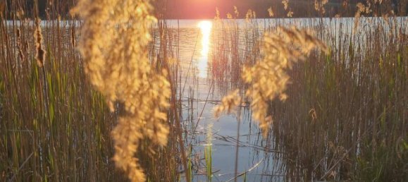 Terreno em Mattsee, Austria N.º 146634 5