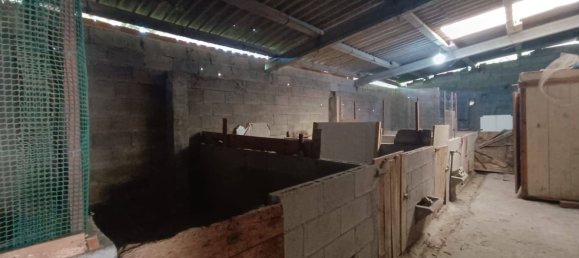 3 chambres Maison à A Coruna, Spain No. 137669 82