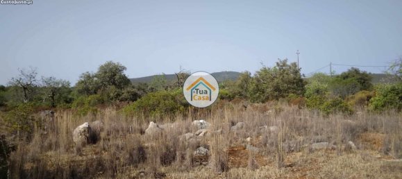 Grundstück in Santa Catarina da Fonte do Bispo, Portugal 8150m², Nr. 73413 9