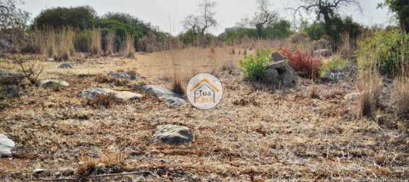 Grundstück in Santa Catarina da Fonte do Bispo, Portugal 8150m², Nr. 73413 10