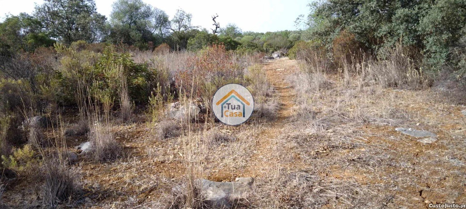 Grundstück in Santa Catarina da Fonte do Bispo, Portugal 8150m², Nr. 73413