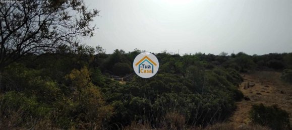 Grundstück in Santa Catarina da Fonte do Bispo, Portugal 8150m², Nr. 73413 15