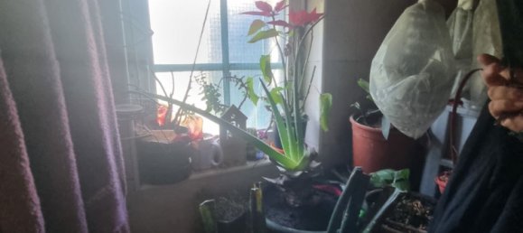 3 Schlafzimmer Doppelhaus in Lisbon, Portugal, Nr. 76026 10