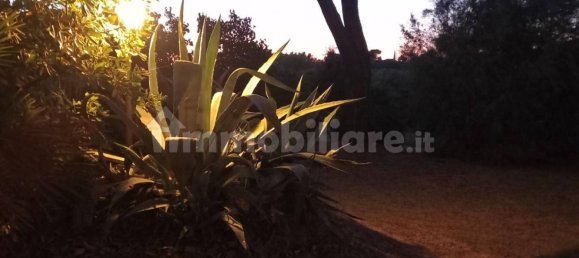 Villa de 4 dormitorios en Peccioli, Italy No. 90476 19