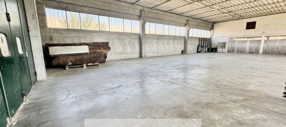 751m² Warehouse in Cerea, Italy No. 299657 7
