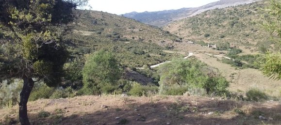  Land in Ronda, Spain No. 161462 3
