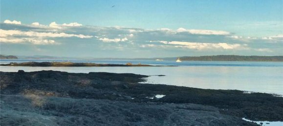 3 Schlafzimmer Haus in British Columbia, Canada, Nr. 1111 8