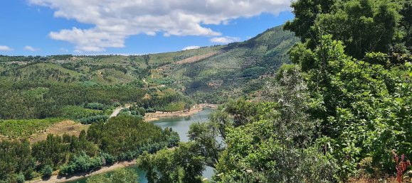 1 bedroom House in Alvaro, Portugal No. 40758 3