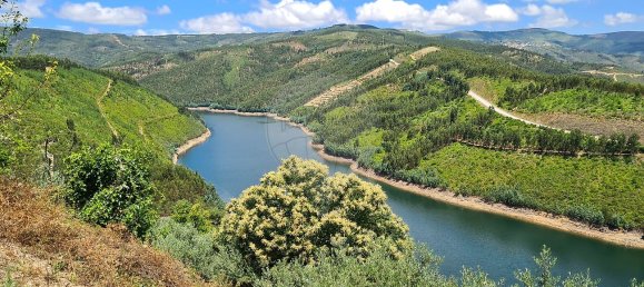 1 bedroom House in Alvaro, Portugal No. 40758 5