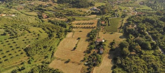 8 rooms House in Portoferraio, Italy No. 223491 4