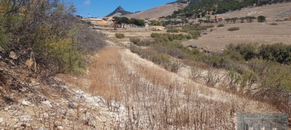 3560m² Land in Porto Santo, Portugal No. 315773 3