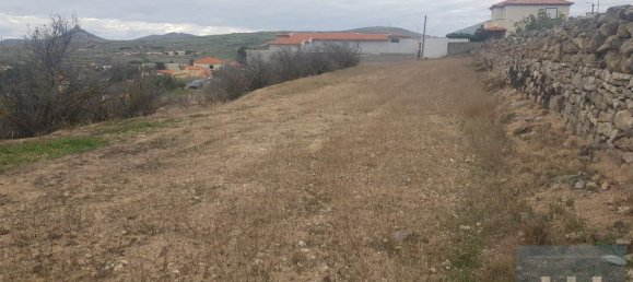 3560m² Land in Porto Santo, Portugal No. 315773 11