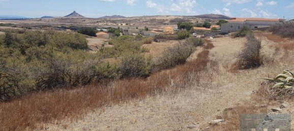 3560m² Land in Porto Santo, Portugal No. 315773 7