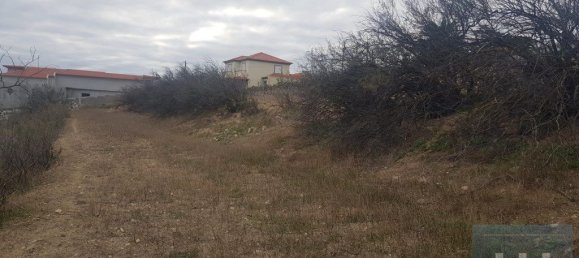 3560m² Land in Porto Santo, Portugal No. 315773 10