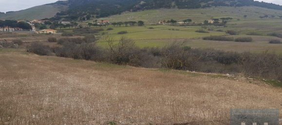 3560m² Land in Porto Santo, Portugal No. 315773 12