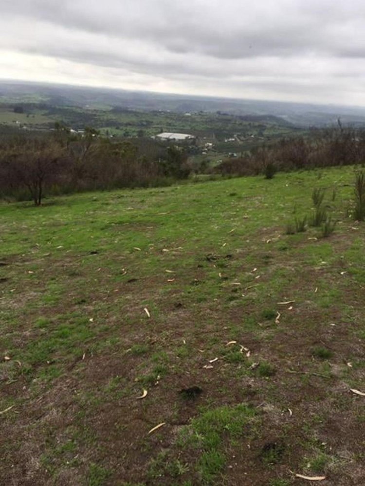 Grundstück in Valparaiso, Chile, Nr. 915