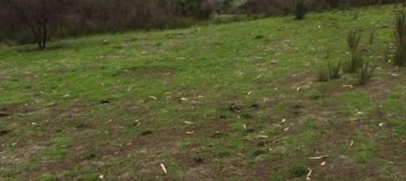 Grundstück in Valparaiso, Chile, Nr. 915 2