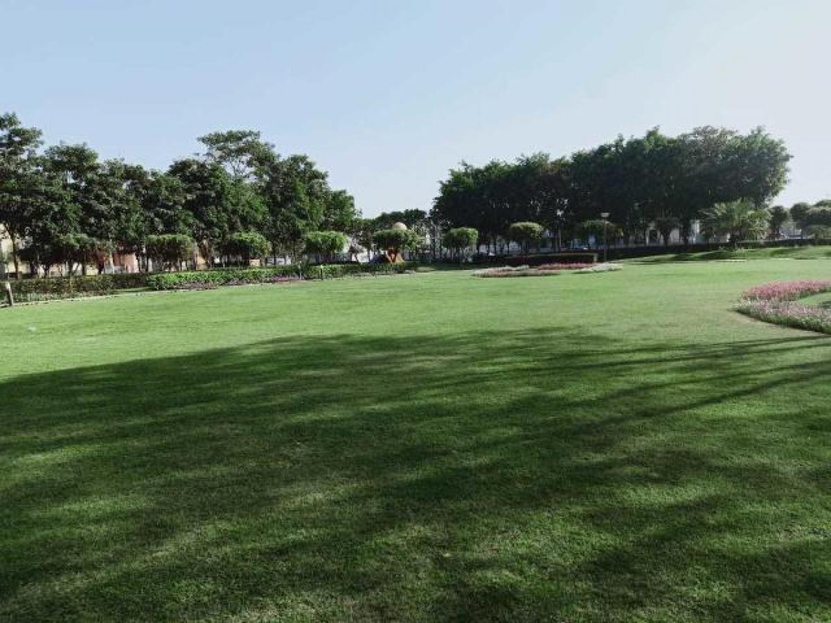 Grundstück in Lucknow, India, Nr. 31920