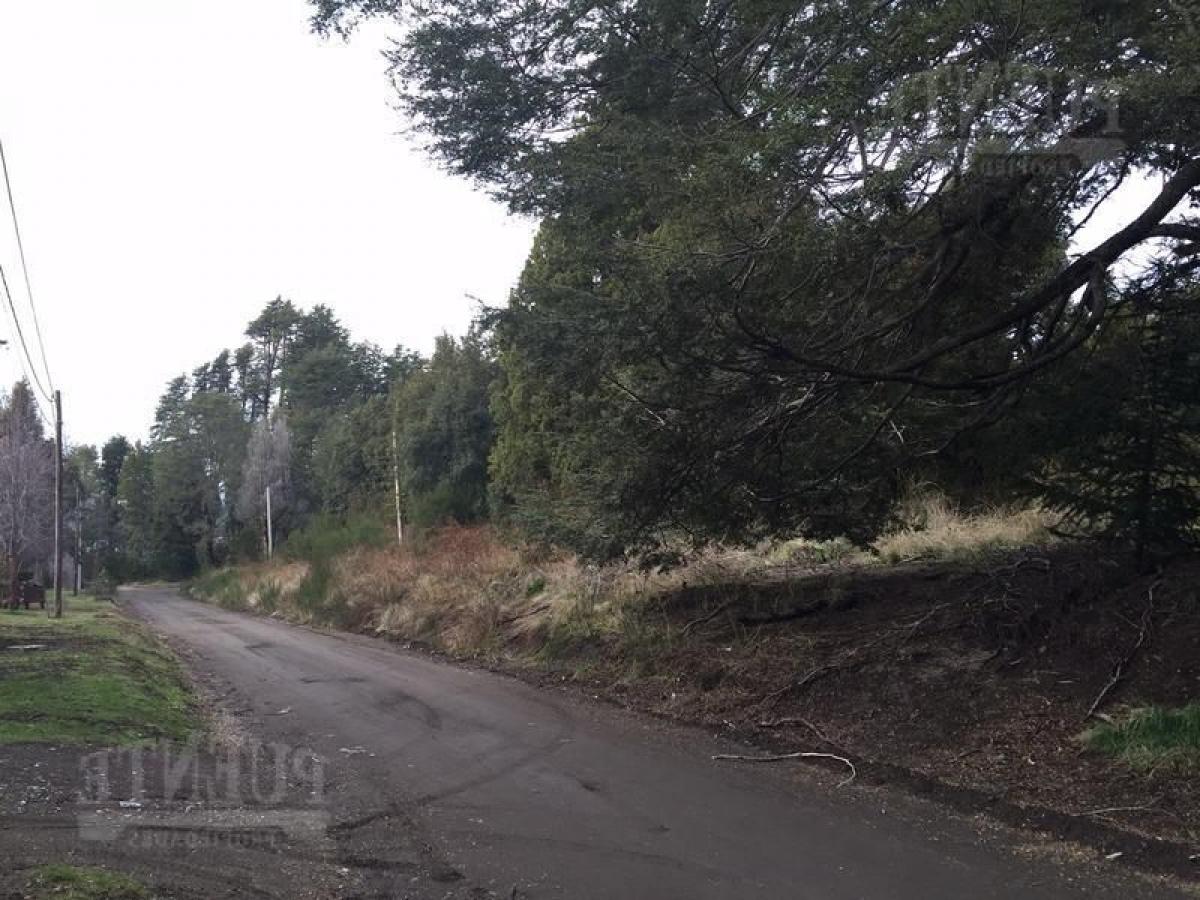  Land in Neuquen, Argentina No. 34132