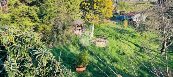 5-Zimmer Wohnung in Carrodano, Italy, Nr. 14622 14