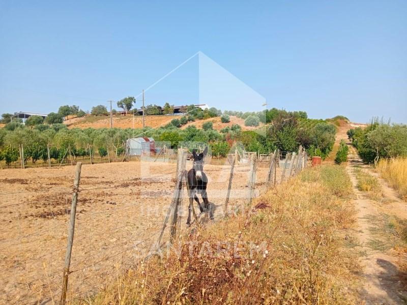 Земельный участок 6240м² в Понтевел, Португалия № 338968