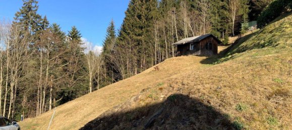 Terrain à Bildstein, Austria 1236m² No. 192233 8