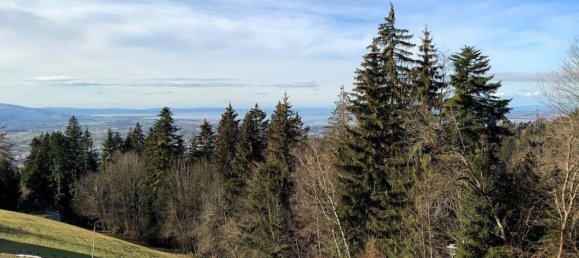 Terrain à Bildstein, Austria 1236m² No. 192233 3