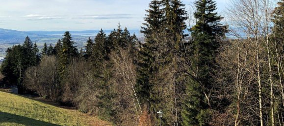 Terrain à Bildstein, Austria 1236m² No. 192233 7