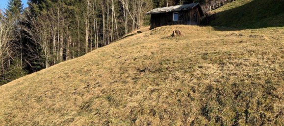 Terrain à Bildstein, Austria 1236m² No. 192233 6