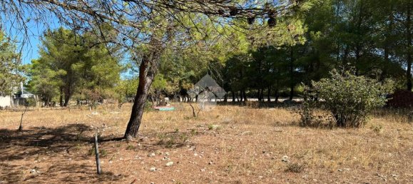 Terreno de 1 habitación en Altamura, Italy No. 361611 2