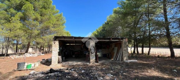 Terreno de 1 habitación en Altamura, Italy No. 361611 7
